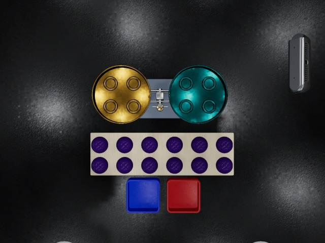 Overhead camera: the balance, the rack and the two trays from above